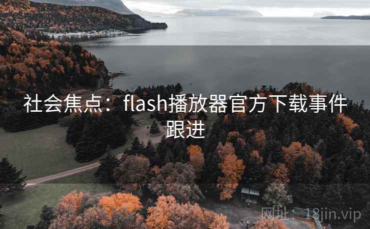 社会焦点：flash播放器官方下载事件跟进